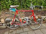 Retro racefiets Colnago Campagnolo, 28 inch, Gebruikt, Heren, 61 tot 65 cm