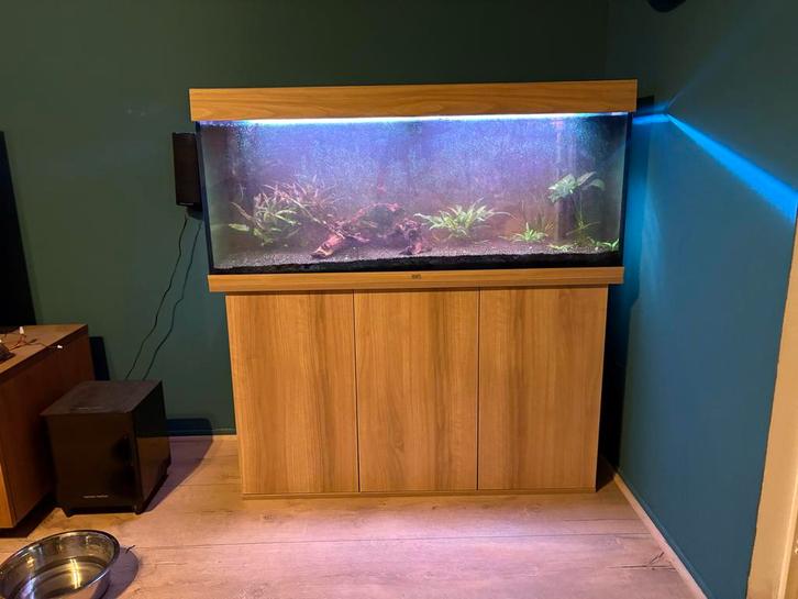 Aquarium, Dieren en Toebehoren, Vissen | Aquaria en Toebehoren, Gebruikt, Gevuld zoetwateraquarium, Ophalen