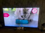 Samsung 55" QLED TV - Topconditie!, QLED, 50 Hz, Ophalen of Verzenden, Zo goed als nieuw