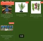Actie: Aquarium of decoratie kunstplanten, ., Plant(en), Steen of Hout, Nieuw, Ophalen of Verzenden