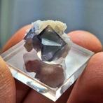 ZELDZAAM PORCELAIN FLUORITE, CHINA, Ophalen of Verzenden, Mineraal