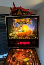 Big Buck Hunter Flipperkast Stern met topper, Verzamelen, Automaten | Flipperkasten, Stern, Ophalen of Verzenden, Zo goed als nieuw