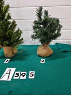 Kerstboompjes met jutte voet ,[a595], Diversen, Kerst, Ophalen of Verzenden