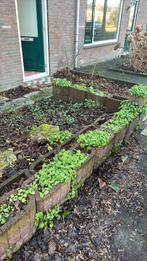 Afscheidings plantenbakken tuin, Ophalen, Gebruikt