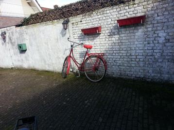 mooie en goede fietsen  beschikbaar voor biedingen