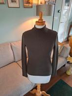 Top van Vanilia maat 36, Kleding | Dames, Truien en Vesten, Vanilia, Ophalen of Verzenden, Zo goed als nieuw, Maat 36 (S)