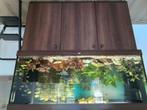 Aquarium  juwel  rio  450 liter 151x51x66 cm, Ophalen, Zo goed als nieuw, Leeg aquarium