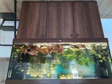 Aquarium  juwel  rio  450 liter 151x51x66 cm beschikbaar voor biedingen