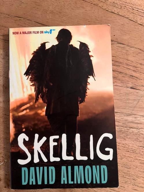 Skellig David Elmond, Boeken, Kinderboeken | Jeugd | 13 jaar en ouder, Gelezen, Ophalen of Verzenden