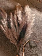 Mooie decoratieve veren, Huis en Inrichting, Woonaccessoires | Droogbloemen, Ophalen of Verzenden, Zo goed als nieuw