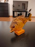 Mooie Opgezette piranha uit Brazilië taxidermie vis, Verzamelen, Dierenverzamelingen, Ophalen of Verzenden