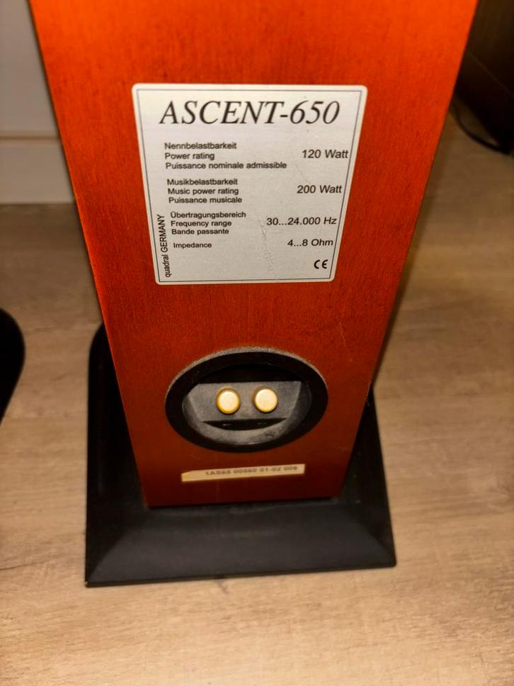 Quadral Ascent-650 Speakers - Topconditie!, Audio, Tv en Foto, Luidsprekers, Zo goed als nieuw, Front, Rear of Stereo speakers