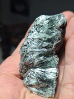 SERAFINIET (ANGEL WING), Ophalen of Verzenden, Mineraal
