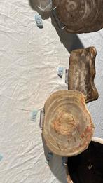 Versteend hout schijven, Verzamelen, Mineralen en Fossielen, Ophalen of Verzenden, Mineraal