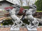 Set Steigerende Paarden, Ophalen, Nieuw, Beton, Dierenbeeld