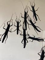 Peruphasma schulteii wandelende tak, Dieren en Toebehoren, Insecten en Spinnen