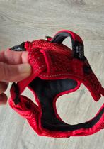 Te koop tuigje voor middel/grote hond, Dieren en Toebehoren, Ophalen of Verzenden, Zo goed als nieuw