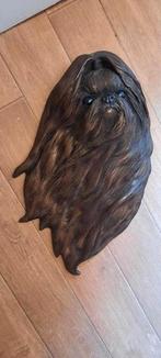 Shih tzus beeld, Ophalen