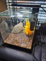 Superfish qubiq 30 pro zgan, Dieren en Toebehoren, Vissen | Aquaria en Toebehoren, Ophalen