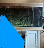Aquarium  pomp en uvc lamp, Ophalen, Gebruikt, Leeg aquarium