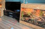 terrarium van
1,40 breed 1,20 hoog en 60 diep, Dieren en Toebehoren, Ophalen, Zo goed als nieuw, Terrarium of Paludarium