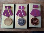 DDR Treue Plichterfüllung brons zilver en goud, Postzegels en Munten, Penningen en Medailles, Ophalen of Verzenden