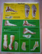 Anatomie van de Voet poster, Ophalen