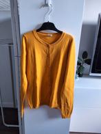 Nieuw vestje maat 158-164, Trui of Vest, Nieuw, Hema, Verzenden