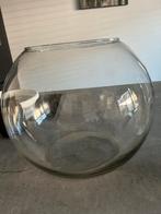 Grote glazen vaas / vissenkom, Ophalen, Overige kleuren, Minder dan 50 cm, Glas