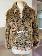 Panterprint Bontjas - Carnaval!, Ophalen of Verzenden, Zo goed als nieuw, Maat 38/40 (M)