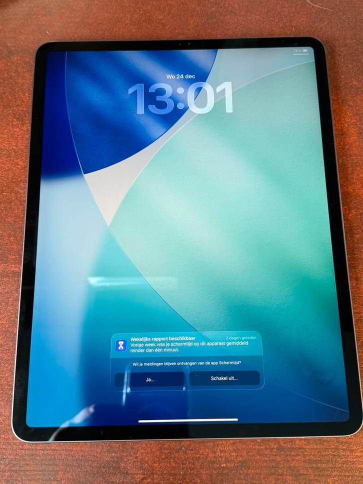 iPad Pro 3th generation compl. met adapter en oplaadsnoer, Computers en Software, Apple iPads, Zo goed als nieuw, Apple iPad Pro