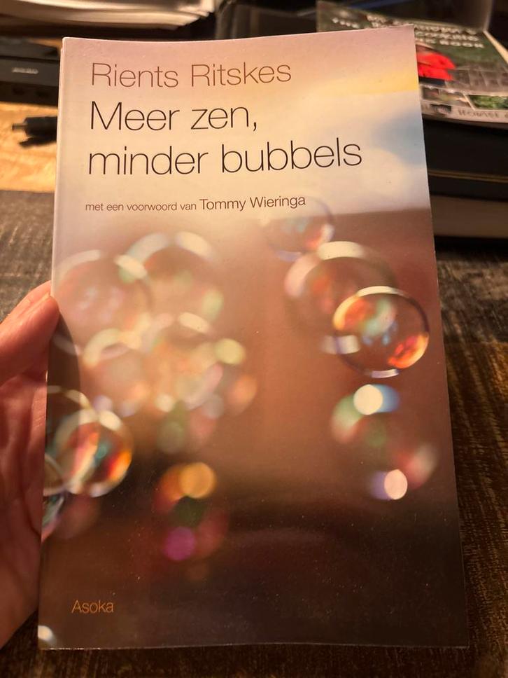 Meer zen, minder bubbels - Rients Ritskes, Boeken, Economie, Management en Marketing, Zo goed als nieuw, Overige onderwerpen, Ophalen of Verzenden