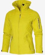 gewilde Nomad is een damesjas maat 40 zgan, Ophalen of Verzenden, Zo goed als nieuw