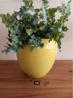 FLORAN bloempot, Rian. Prijs per stuk. NIEUW, Ophalen, Rond, Nieuw, Tuin