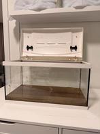 Aquarium met pomp en lamp, Dieren en Toebehoren, Vissen | Aquaria en Toebehoren, Ophalen, Zo goed als nieuw, Leeg aquarium