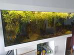 Aquarium Juwel 450, Ophalen of Verzenden, Leeg aquarium