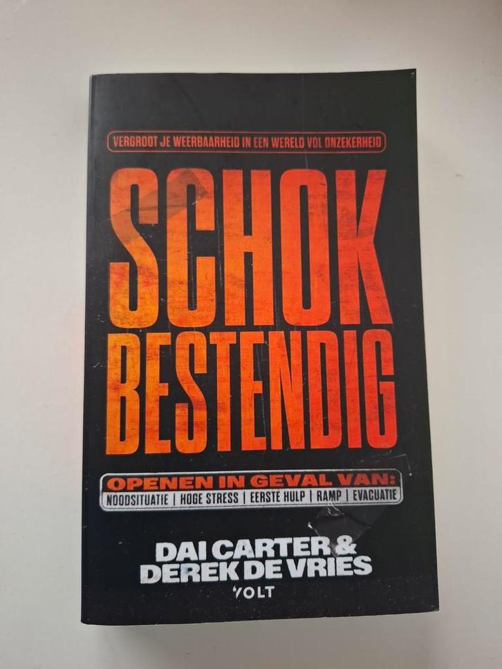Schokbestendig - Dai Carter & Derek de Vries, Boeken, Literatuur, Zo goed als nieuw, Nederland, Ophalen of Verzenden