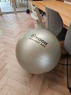 Togu Powerball ABS Fitnessbal 70cm, Ophalen, Gebruikt, Buik, Fitnessbal