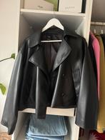 Mango faux leren jas oversized, Mango, Ophalen of Verzenden, Zo goed als nieuw, Zwart