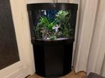 Hoek aquarium met meubel, Ophalen, Zo goed als nieuw, Gevuld zoetwateraquarium