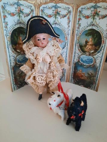 2 oude hondjes aan een riempje. beschikbaar voor biedingen