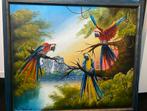 Schilderij met 3 papegaaien met blauwe hoiten lijst, Ophalen of Verzenden