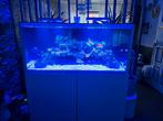 Micmol Thor x blue 120 watt 2 stuks zgan, Ophalen of Verzenden, Zo goed als nieuw, Verlichting of Verwarming