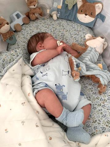 Reborn Baby(Realborn) Bryson met certificaten beschikbaar voor biedingen