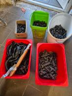 680 stuks Rehau perskoppelingen en pers hulzen voor water, Ophalen of Verzenden, Nieuw, Minder dan 50 mm