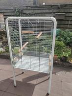 Papegaaien kooi te koop, Dieren en Toebehoren, Ophalen, Zo goed als nieuw, Metaal, Vogelkooi