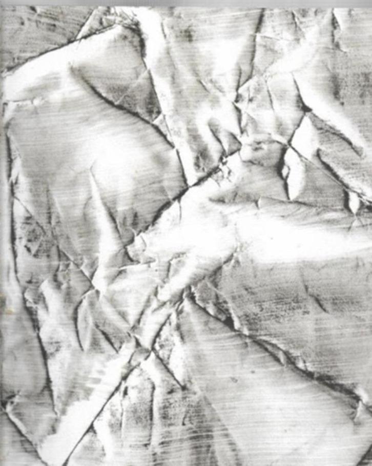 Lenneke Van Der Goot Wandering Lines, Boeken, Kunst en Cultuur | Beeldend, Zo goed als nieuw, Schilder- en Tekenkunst, Ophalen of Verzenden