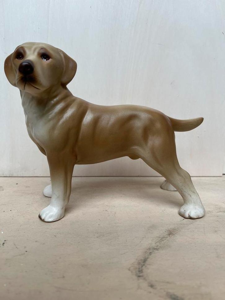 Porseleinen Labrador Beeldje - Made in England, Verzamelen, Beelden en Beeldjes, Gebruikt, Dier, Verzenden