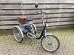 van raam maxi2 met ondersteuning, Ophalen of Verzenden, Gebruikt, Van raam