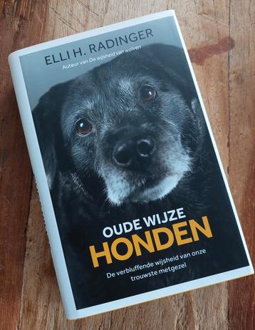 Elli H. Radinger - Oude wijze honden beschikbaar voor biedingen
